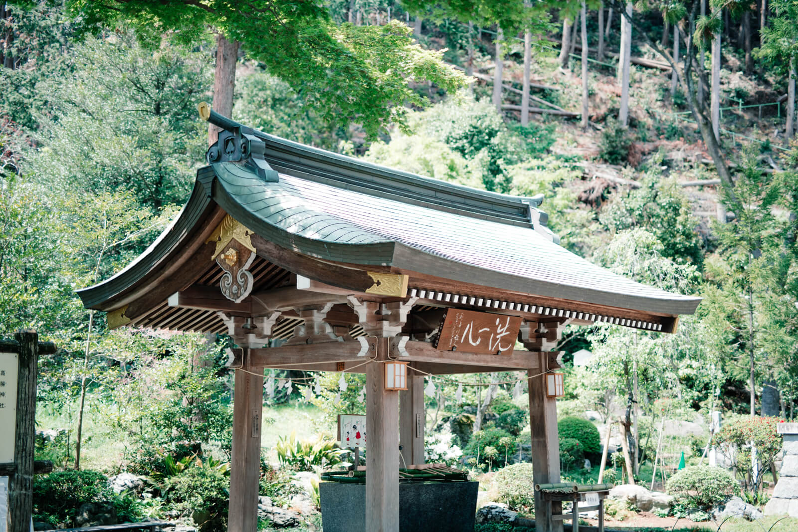 高麗神社の手水舎 自然