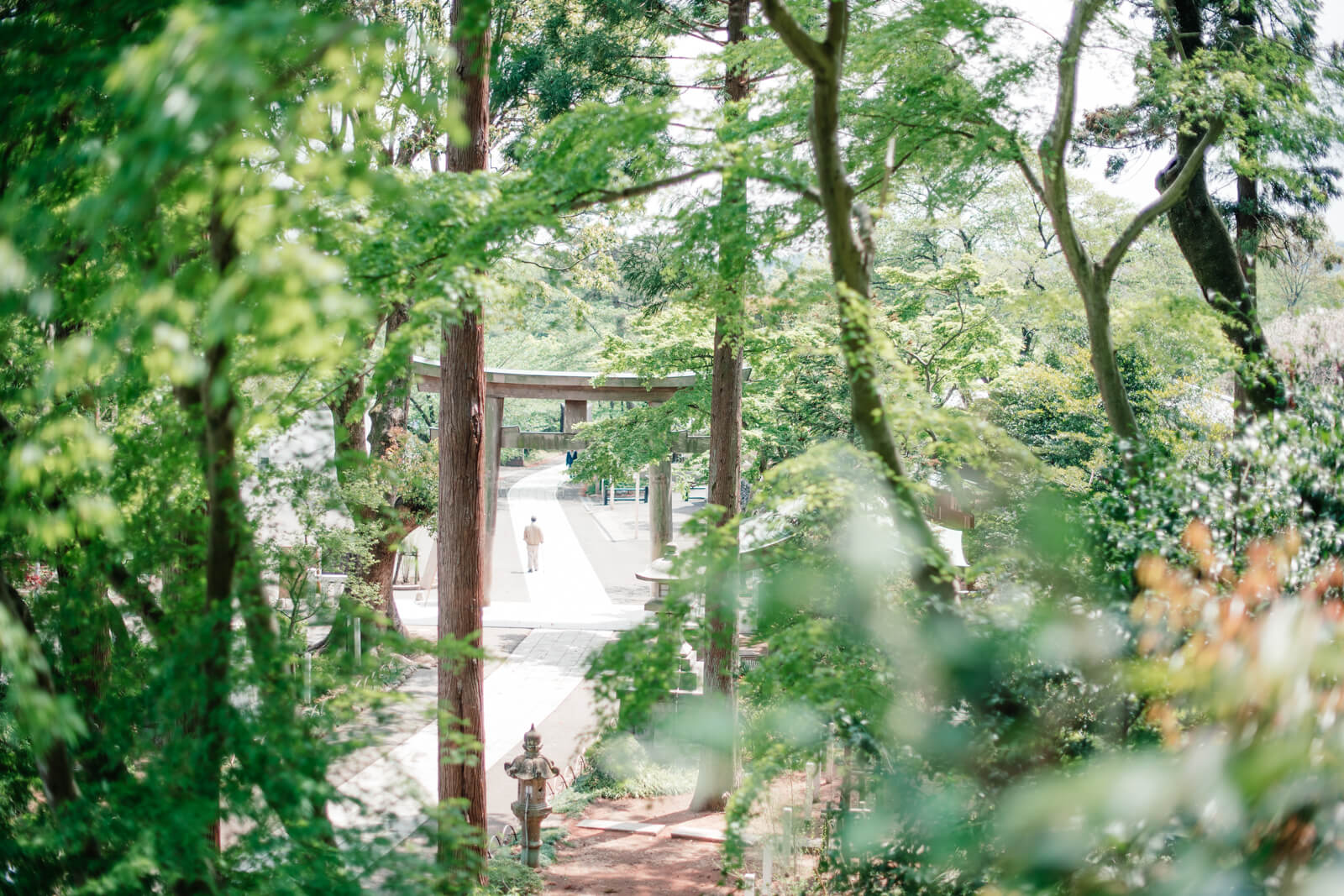 高麗神社の境内 本殿 水天宮からみえる景色