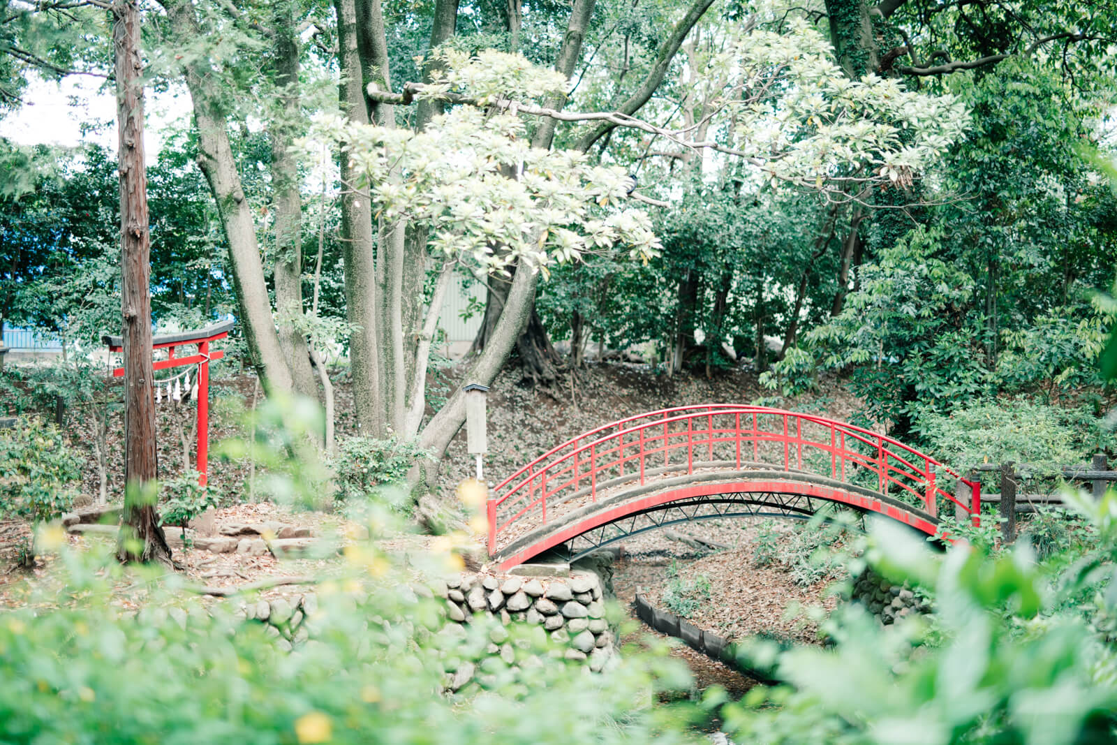 喜多院 赤い橋 小さな鳥居 池