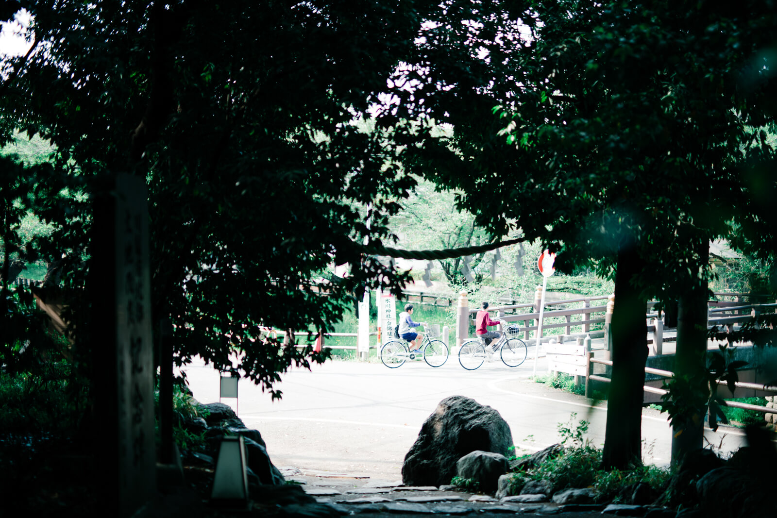 川越氷川神社 境内 日常風景