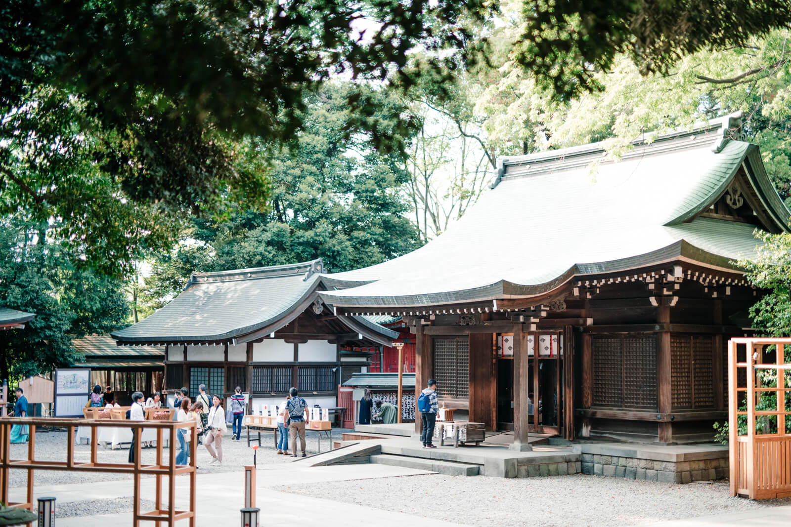 川越氷川神社の本殿 参拝風景