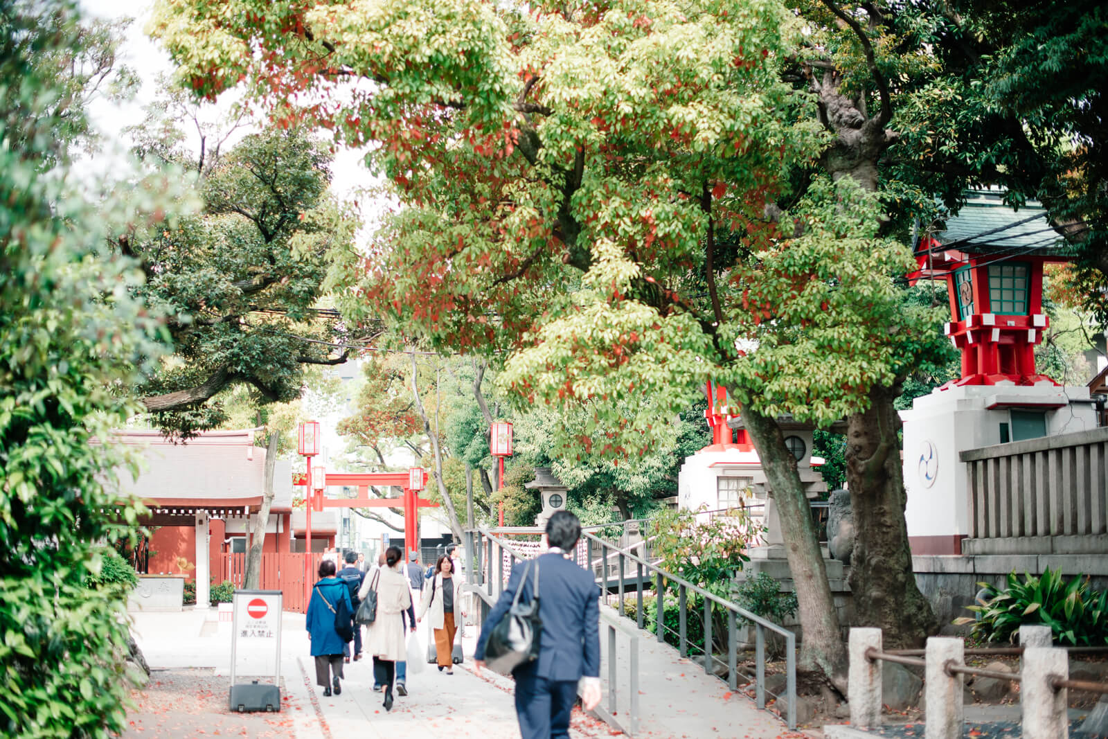 富岡八幡宮の参拝者　朝のルート　朝の光景