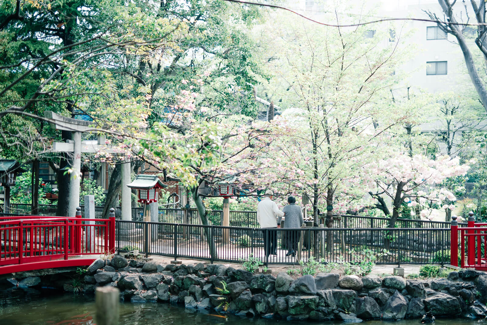 富岡八幡宮　弁天池をみるおじいさんとおばあさん