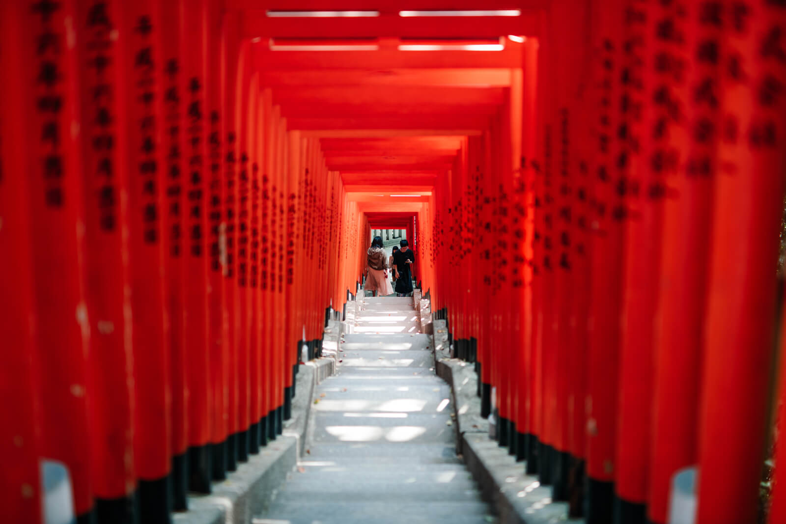 日枝神社　鳥居　階段